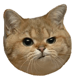 floothink cat head